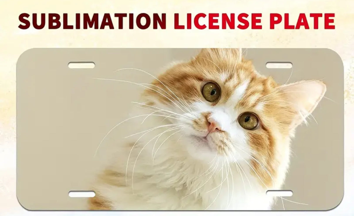 Licence Plate - Customisable